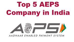 Top 5 AEPS Company